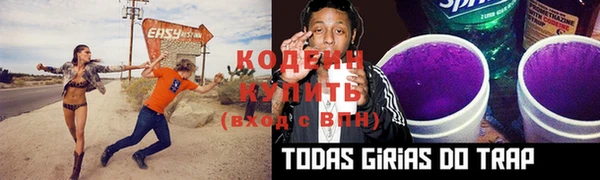 прущие крисы Гусев