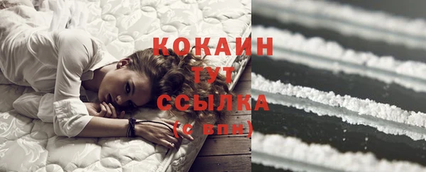 сатива Гусиноозёрск
