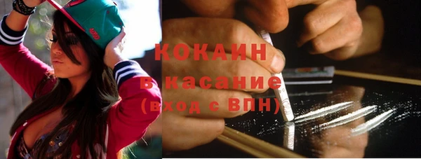 сатива Гусиноозёрск