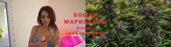 сатива Гусиноозёрск