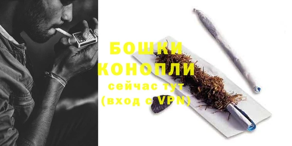 прущие крисы Гусев