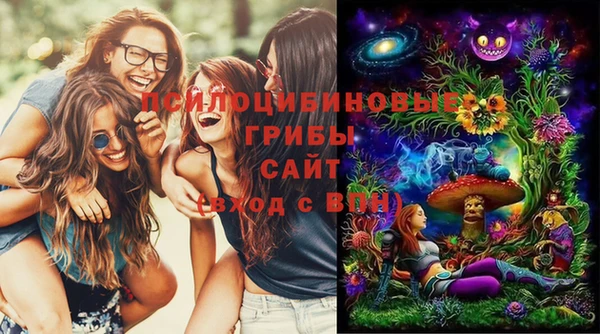 герыч Гусь-Хрустальный
