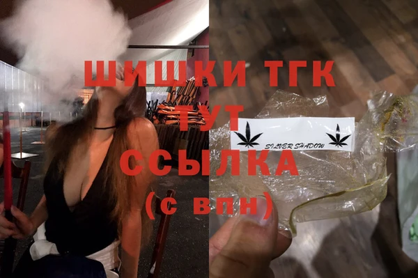 сатива Гусиноозёрск