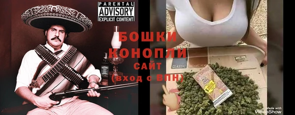 стаф Дмитровск