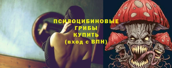прущие крисы Гусев