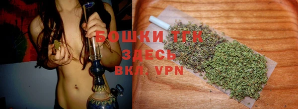 сатива Гусиноозёрск