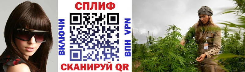 Конопля ГИДРОПОН  Донецк 